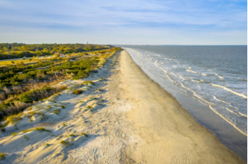 A stretch of sandy beach trails into the background. The ocean can be seen on the right while beach vegetation is to the life of the stretch of sandy beach